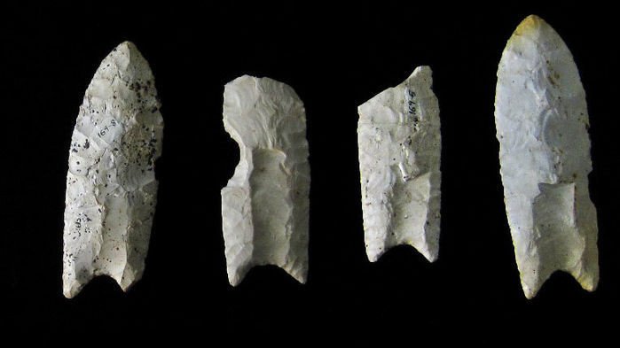 Археологи обнаружили 11 древних наконечников копий в Техасе