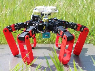 Ученые Франции разработали первого робота, который ориентируется в пространстве без GPS
