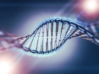 Ген может кодировать более одного белка