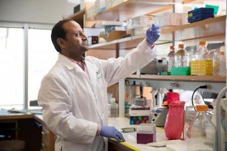 Ученые «перепрограммировали» врожденный иммунитет для борьбы с раком поджелудочной железы