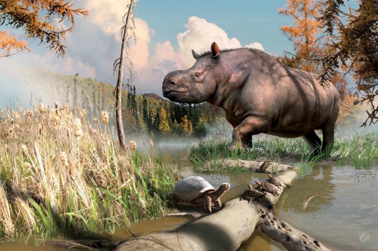 По территории Канады бродили древние носороги