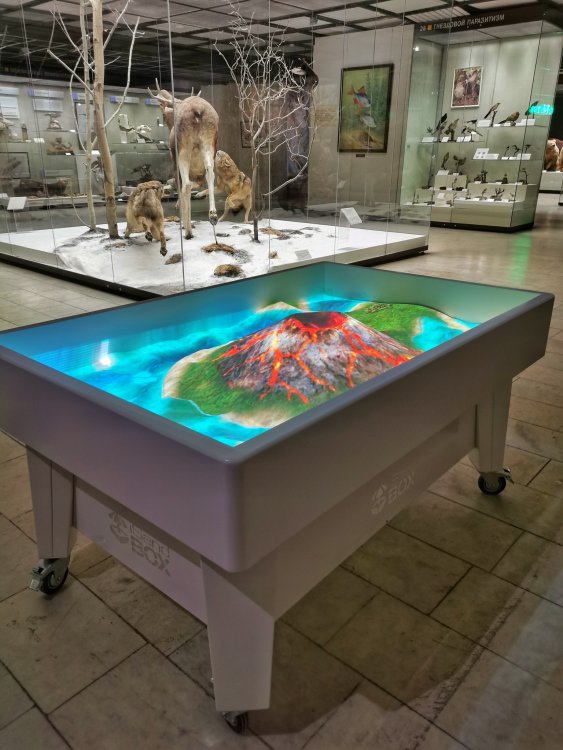 Новый экспонат в Дарвиновском музее – интерактивный макет «Рельеф Земли»