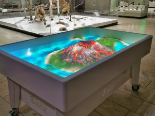 Новый экспонат в Дарвиновском музее – интерактивный макет «Рельеф Земли»