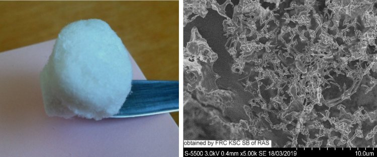 Изображение авторов исследования Яценкова О. В., Скрипников А. М., Карачаров А. А., Мазурова Е. В., Воробьев С. А., Кузнецов Б. Н.