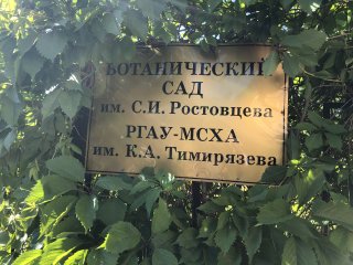 С 1 июня в Ботаническом саду имени С. И. Ростовцева начинается сезон экскурсий.