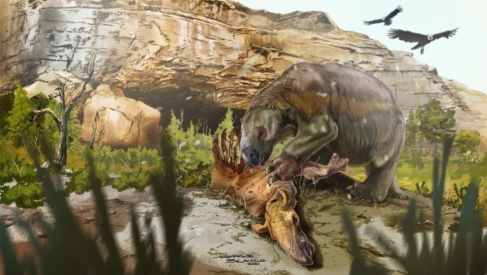 Древний гигантский ленивец оказался всеядным 