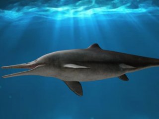 Обнаружена вымершая морская рептилия, похожая на рыбу-меч
