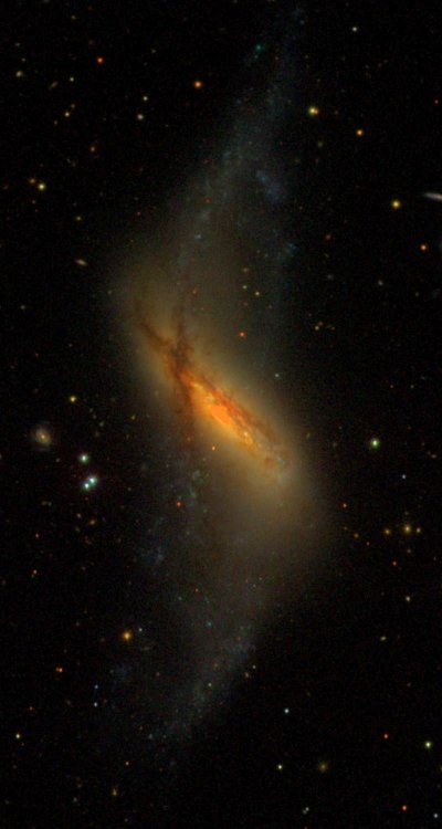 Галактика NGC 660, наблюдения SDSS 