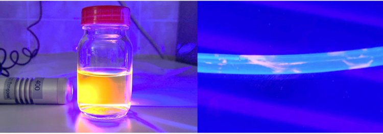 Внешний вид флуоресцентных золотых нанокластеров (слева) и окрашенные данными нанокластерами биопленки на внутренней поверхности урологического катетера (справа). Источник: Стелла Евстигнеева