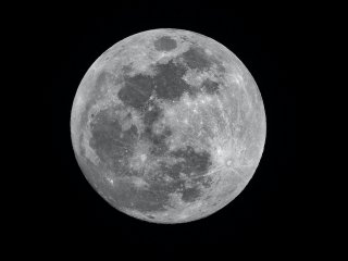 Луна. Источник: Mike Petrucci / Фотобанк Unsplash 