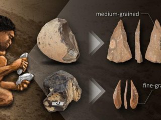 Исследование механических свойств горных пород показало, что люди эпохи палеолита изменили свой выбор сырья в соответствии с морфологией своих каменных орудий и технологиями производства.