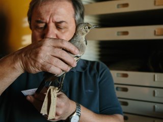 Е.А. Коблик в Зоологическом музее МГУ. Фото: Ольга Мерзлякова / «Научная Россия»