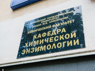 Фото Ольги Мерзляковой