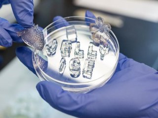 Желейный лёд — это многоразовый и биоразлагаемый охлаждающий материал, который не тает и не превращается в лужицу, как обычный лёд. Фото: UC Davis / Jiahan Zou and Gang Sun