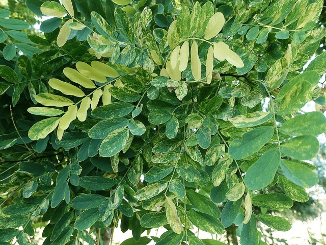 Фото: Константин Ефетов / пресс-служба КФУ