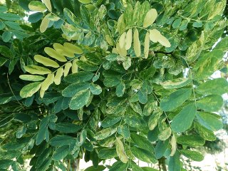 Фото: Константин Ефетов / пресс-служба КФУ