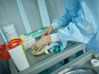 Фото: Елена Либрик / Научная Россия