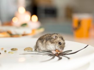 Изображение: Фотобанк Freepik