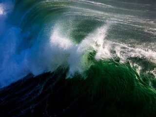 Изображение: Фотобанк Freepik