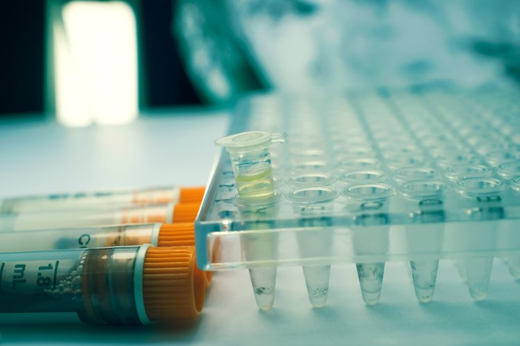 Источник ru.123rf.com