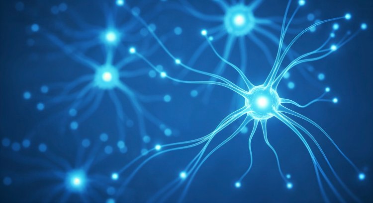 Изображение: Фотобанк Freepik