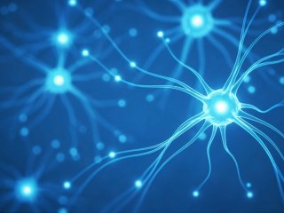 Изображение: Фотобанк Freepik