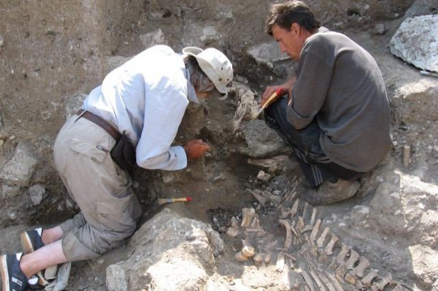 Предоставлено Александром Мошинским / Из личного архива