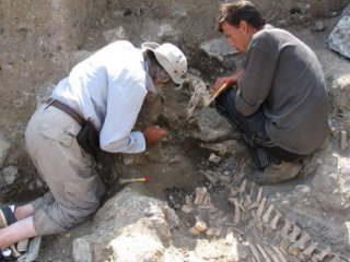 Предоставлено Александром Мошинским / Из личного архива