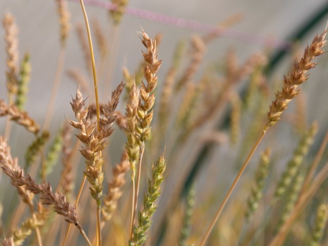 Фото: пресс-служба УрФУ