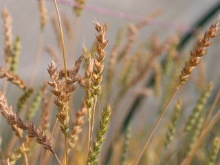 Фото: пресс-служба УрФУ