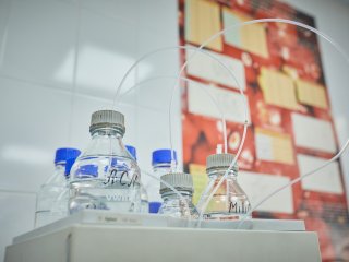 В ФИЦ питания и биотехнологии. Фото: Елена Либрик / «Научная Россия»