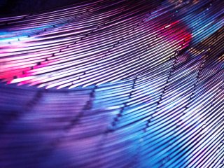 Изображение: Фотобанк Freepik