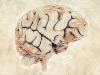 Изображение: Фотобанк Freepik