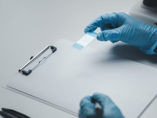 Источник фото: dookdui / ru.123rf.com