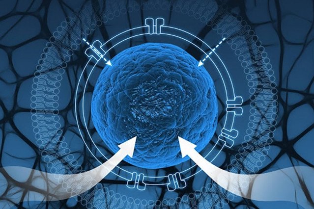 Ученые изолировали фрагменты генетических цепочек в искусственных клетках