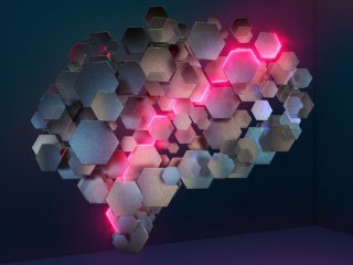 Нейроны решётки помогают млекопитающим строить оптимальный маршрут