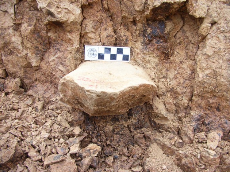 Археологи обнаружили в Китае древнейшие инструменты человека