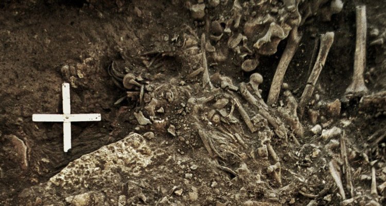 В 5000-летней братской могиле найдены древнейшие бактерии чумы