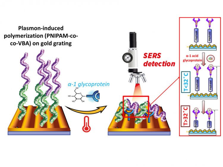 Принципиальная схема процесса полимеризации. Изображение авторов исследования О.Гусельникова и др.