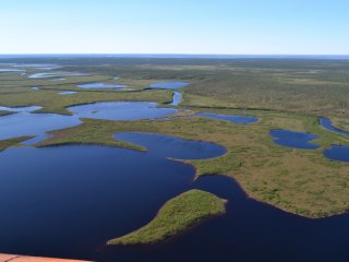 Пейзаж Западной Сибири – бескрайние просторы и болота. Фото: М.А. Фомин