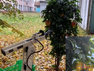Финансовый университет и ФНАЦ ВИМ создали умного робота для сбора яблок