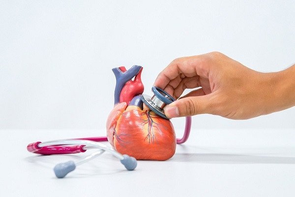 Ученые разрабатывают инструменты оценки риска развития инфаркта миокарда