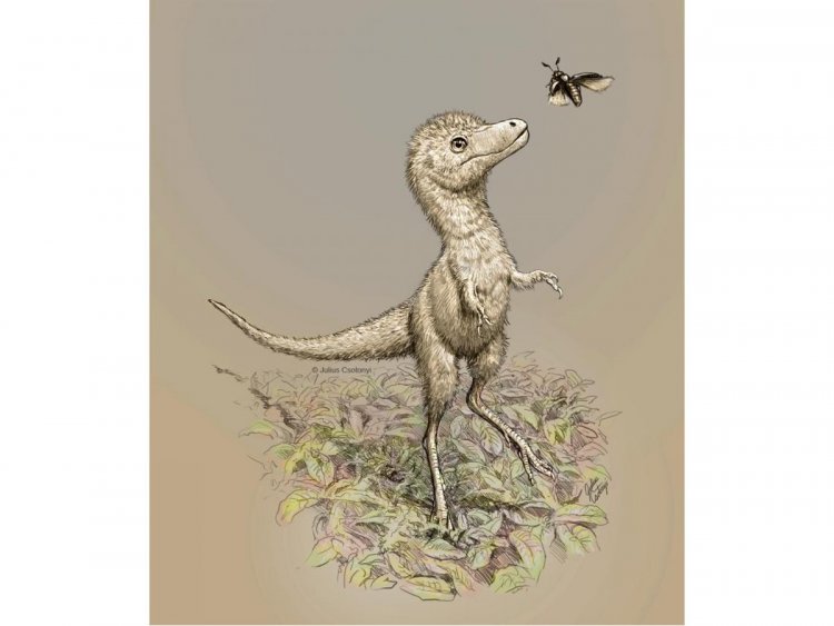 Найдены первые останки детеныша тиранозавра