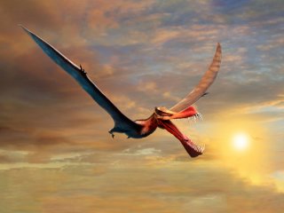 Low-Res_Pterosaur. jpg