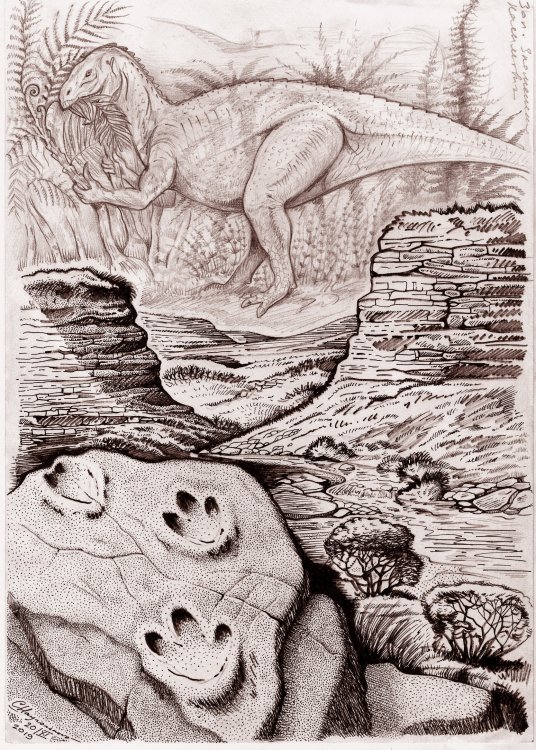В ущельях Предкавказья над плитами со следами динозавров всплывают из небытия картины далекого прошлого. Илл. предоставлена С.В. Наугольных.