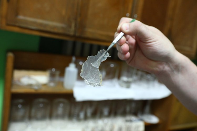 Кусочек пластиковой упаковки, найденный в водах Байкала