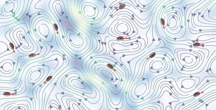 Визуализация движения планктона против течения, позволяющая избежать областей с высокой нагрузкой, обозначенных синим цветом. Фото: Navid Mousavi / The University of Gothenburg