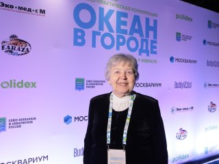 Закулисье подводного мира. В «Москвариуме» прошла конференция «Океан в городе 2025». Фото: Ольга Мерзлякова / Научная Россия