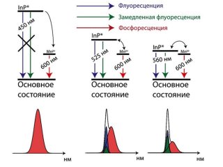 Источник Д. Певцов