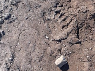 Во время отбора проб на вулкане Горелый. Фото: Олег Шичалин / предоставлено пресс-службой ДВФУ